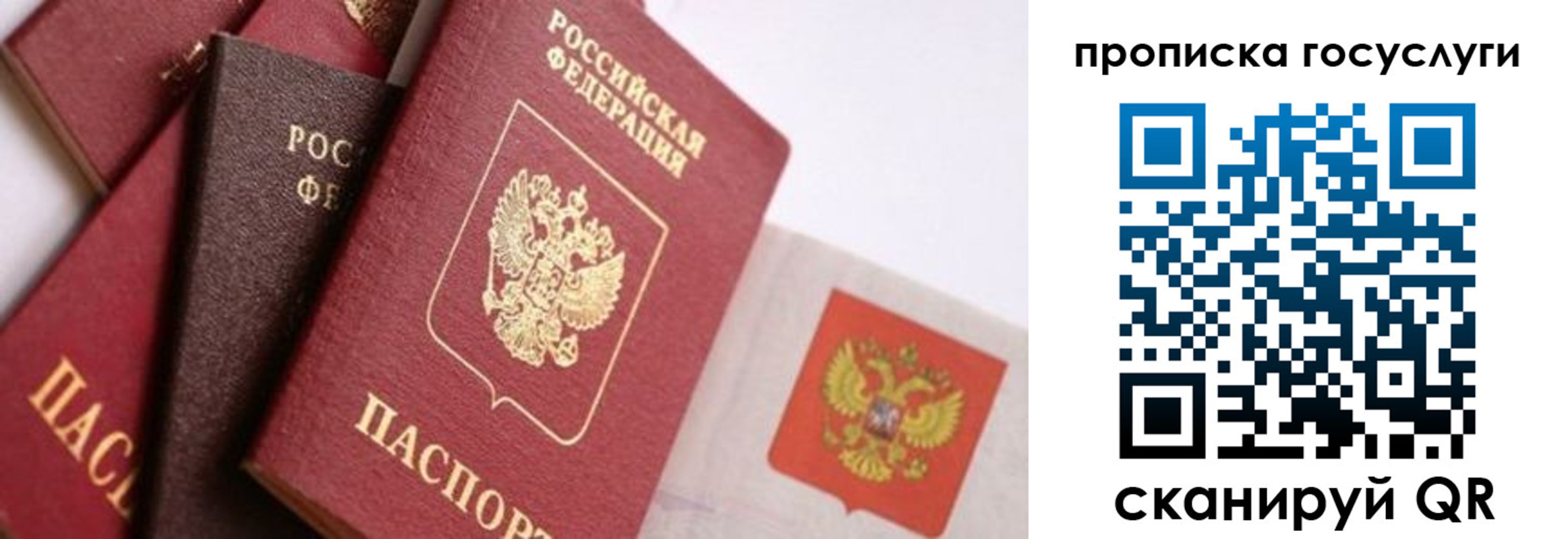 прописка законно в Геленджике